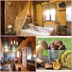 Suenos De Javier Holiday home *
