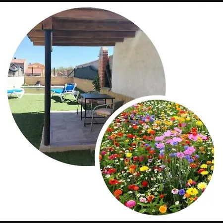 בית נופש Suenos De Javier